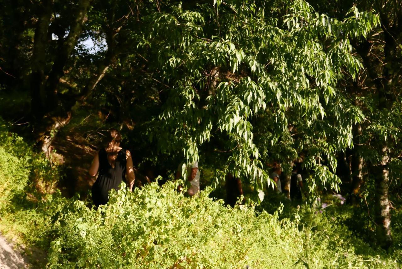 Casa Do Meio Em Quinta De Sao Pedro De Vir-A-Corca มอนซานโต ภายนอก รูปภาพ