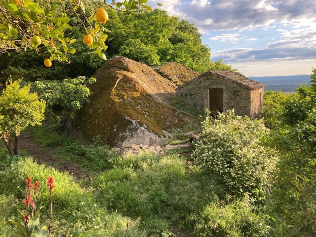 Casa Do Meio Em Quinta De Sao Pedro De Vir-A-Corca มอนซานโต ภายนอก รูปภาพ