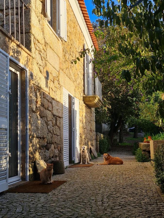 Casa Do Meio Em Quinta De Sao Pedro De Vir-A-Corca มอนซานโต ภายนอก รูปภาพ